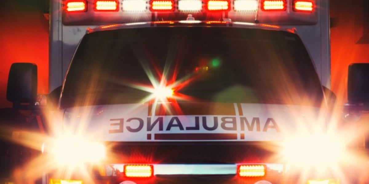 2 riders injured when motorcycle hits bear in Vermont 2 riders injured when motorcycle hits bear in Vermont
