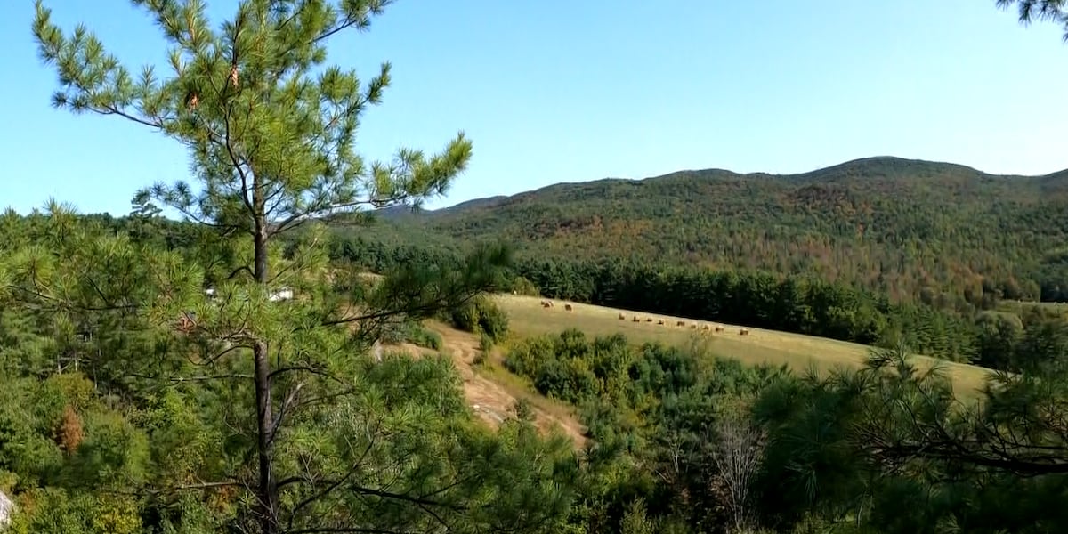 Hubbardton’s hidden gem