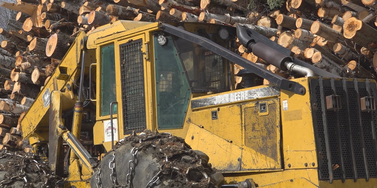 Vt. officials seek fix for forest industry after New York mill closure