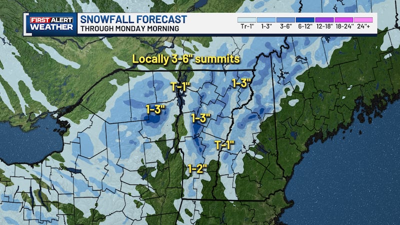 Tour bus crash injures driver, four passengers in Lake George