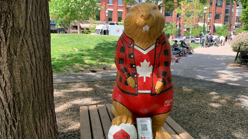 A beaver sculpture representing Canada that is part of The Great Beaver Quest, a World...