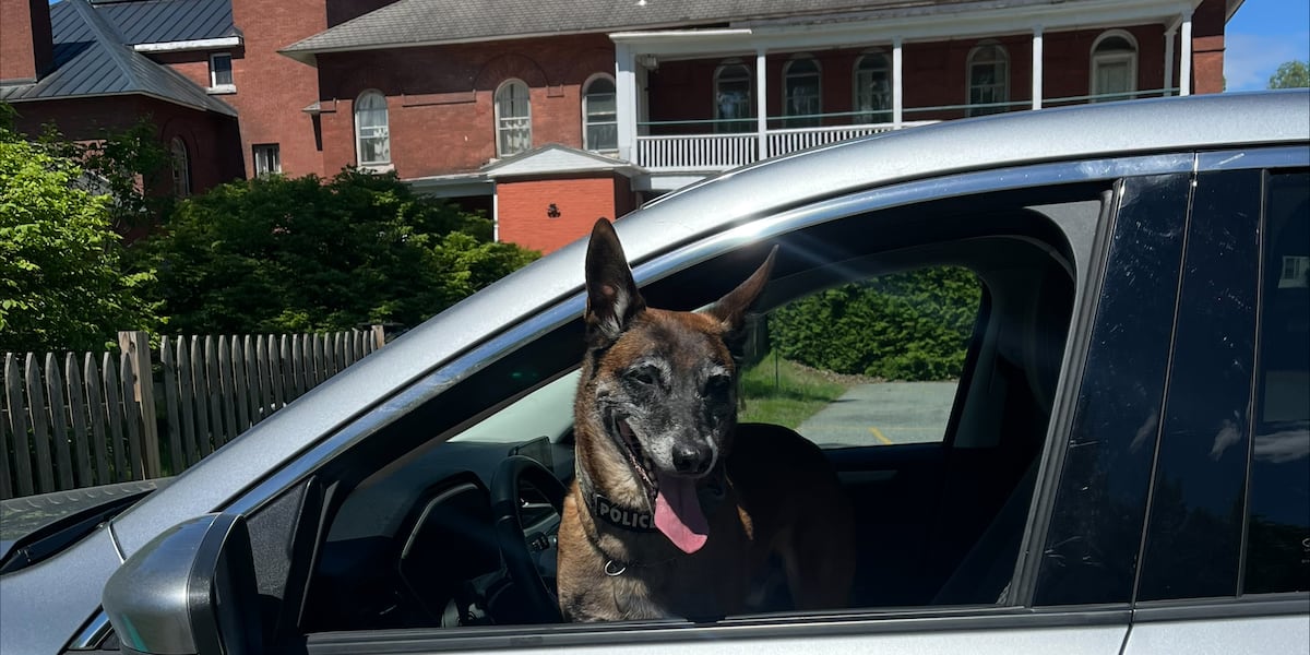 Vermont police K9s sharpen skills