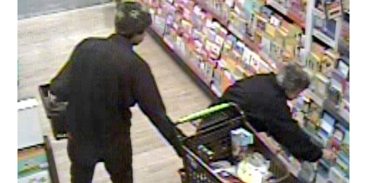 Wallet-snatching victim asks people to donate to food shelf