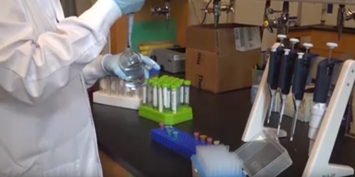 Vermont colleges join forces to research forever chemicals…