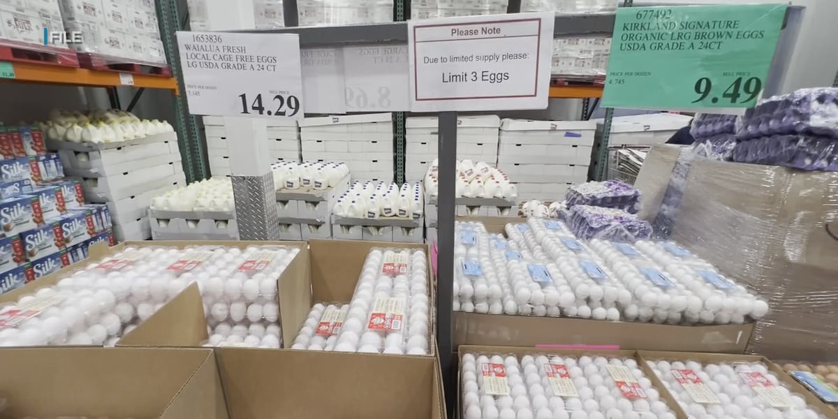 Nearly a million eggs coming to Vermont food banks as part of price-fixing settlement