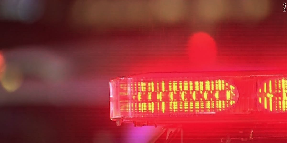 Poultney man cited for animal cruelty after shooting dog