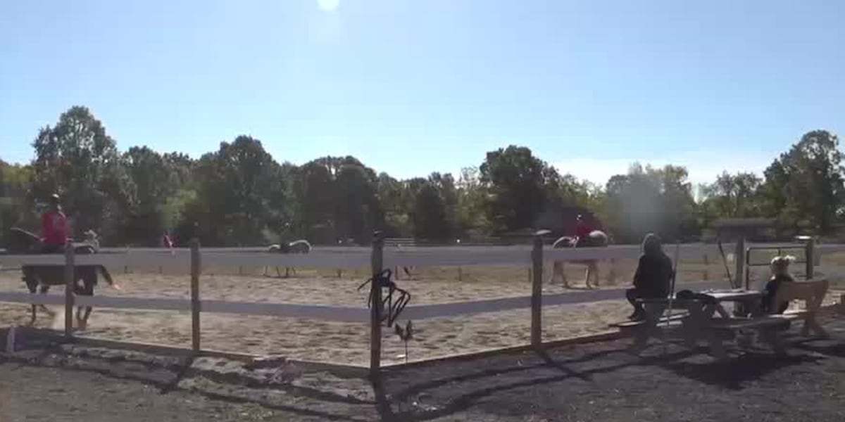Addison Rides Addison County ranch hosting themed trail rides to fund dream of ...