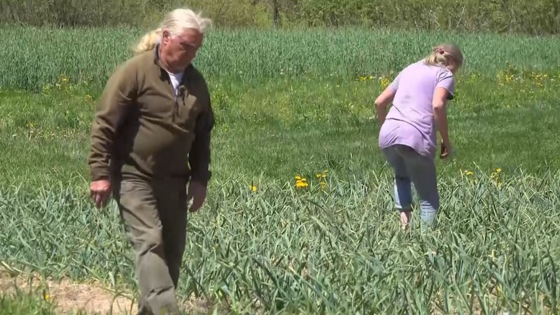 Mickey and Danielle Lopes started off in the 1990s with a small operation growing garlic.