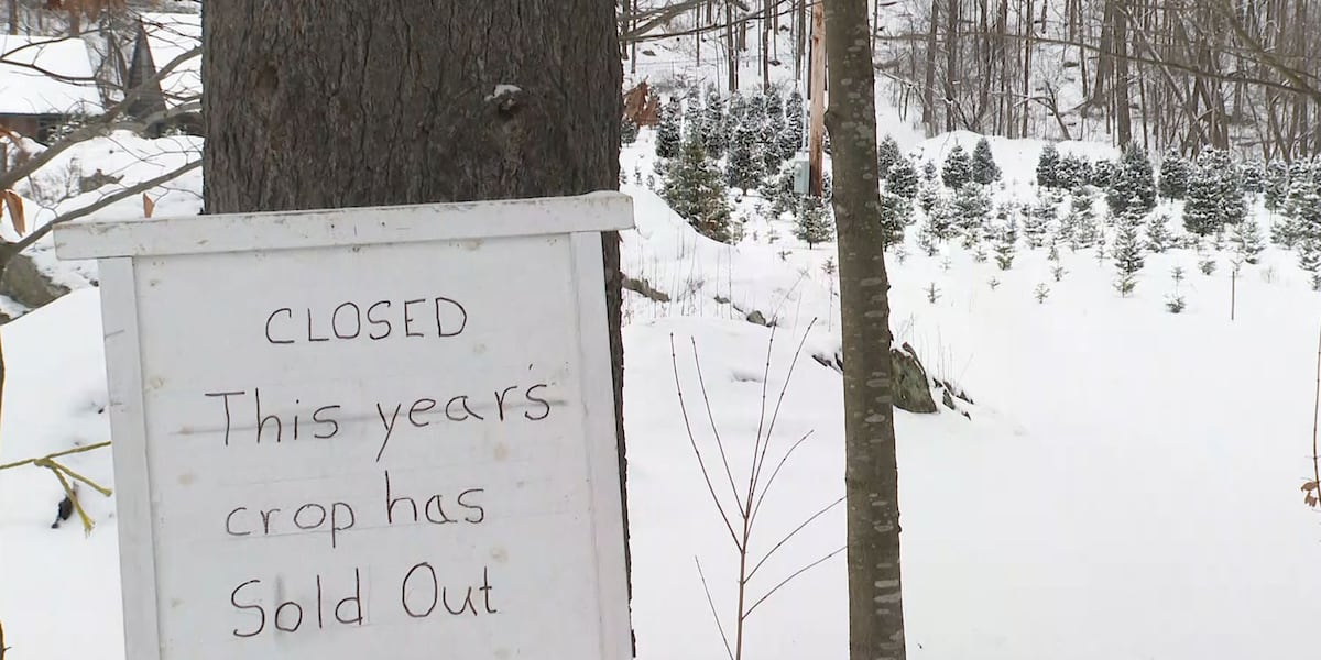 Many Vermont Christmas tree farms closed for the season Many Vermont Christmas tree farms closed for the season