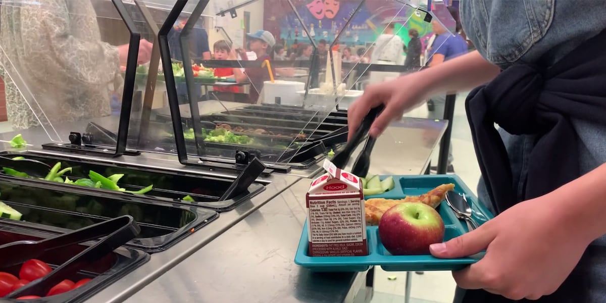 Effort to ban artificial dyes in Vermont school food falls short