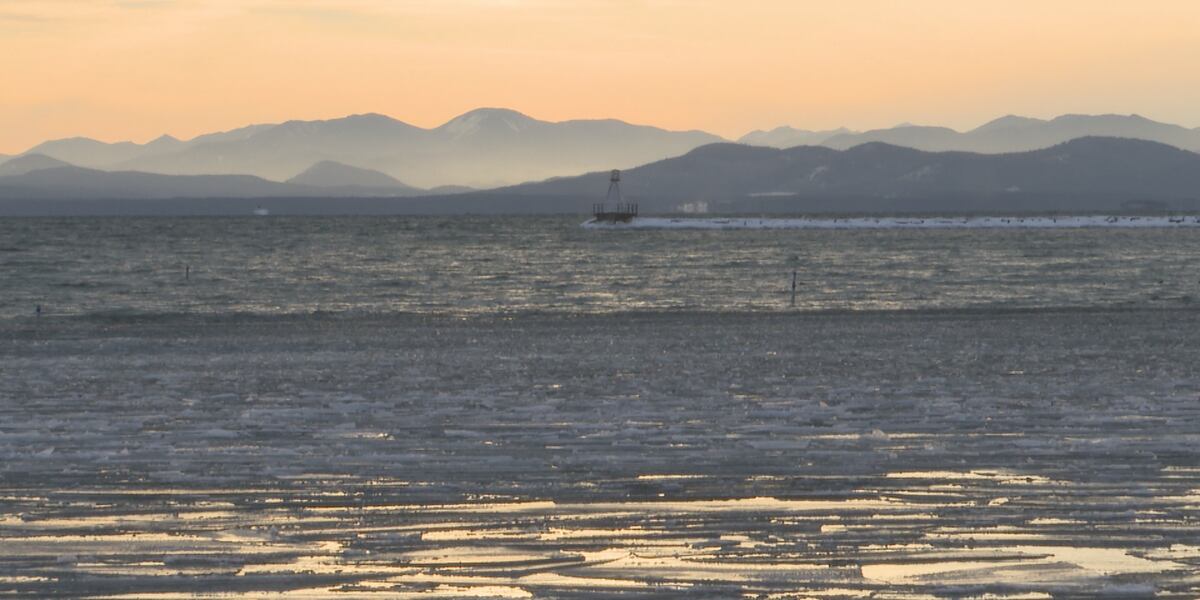 Lake Champlain’s lack of ice shifts wildlife patterns Lake Champlain’s lack of ice shifts wildlife patterns