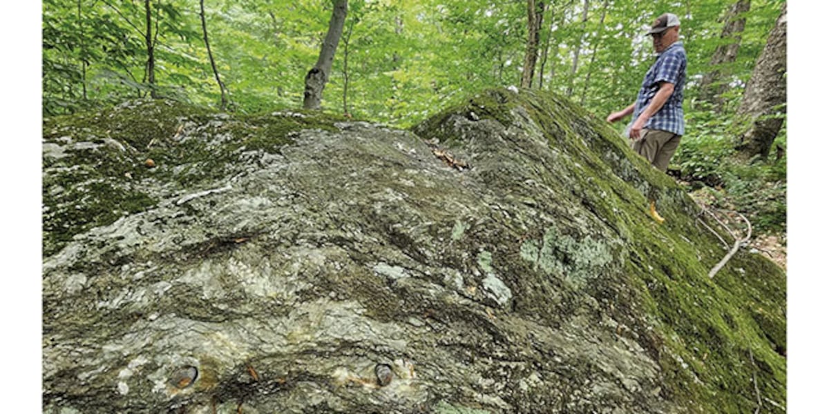 Mountain biking case signals crackdown on rogue trail building
