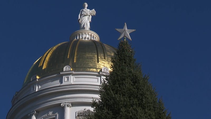 Statehouse tree