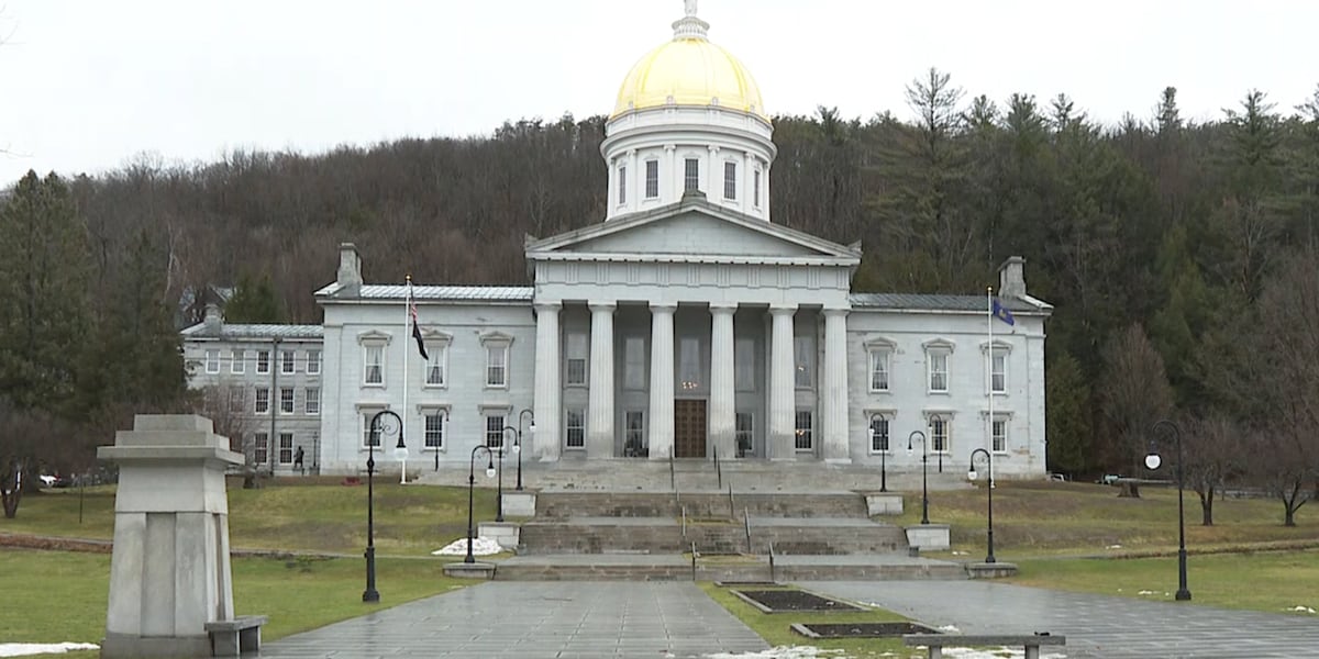 Vt. school protests state response to federal DEI policy Vt. school protests state response to federal DEI policy