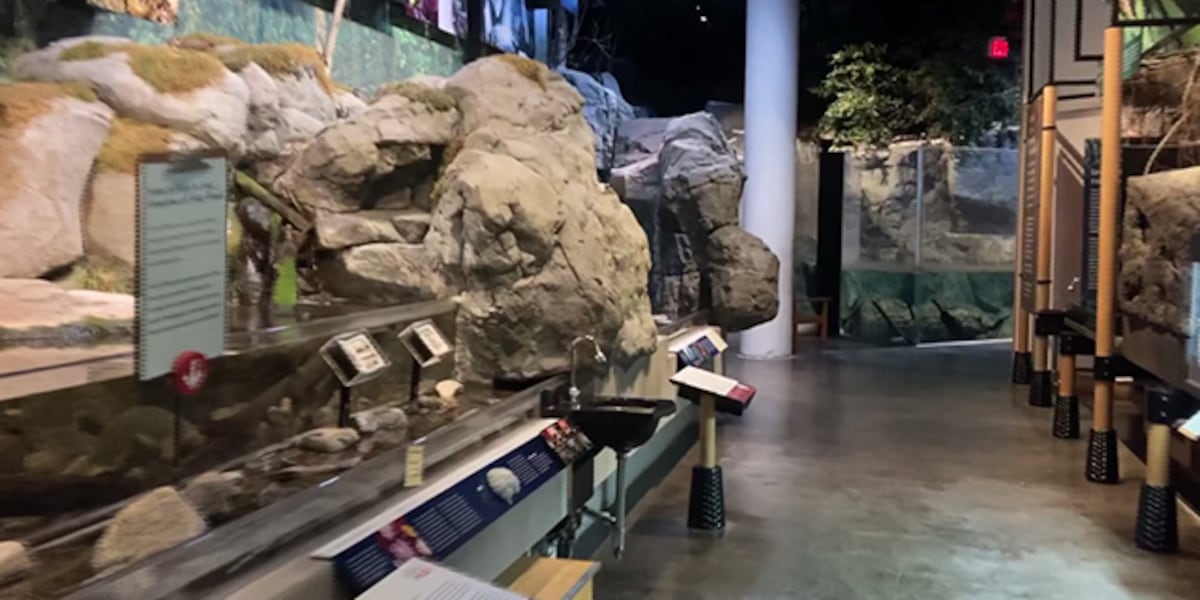 North Country’s Wild Center hit by cuts to AmeriCorps program
