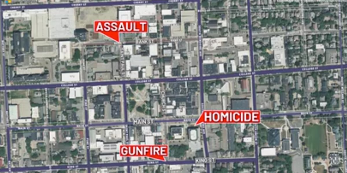 Stabbing death among several downtown Burlington weekend crime incidents