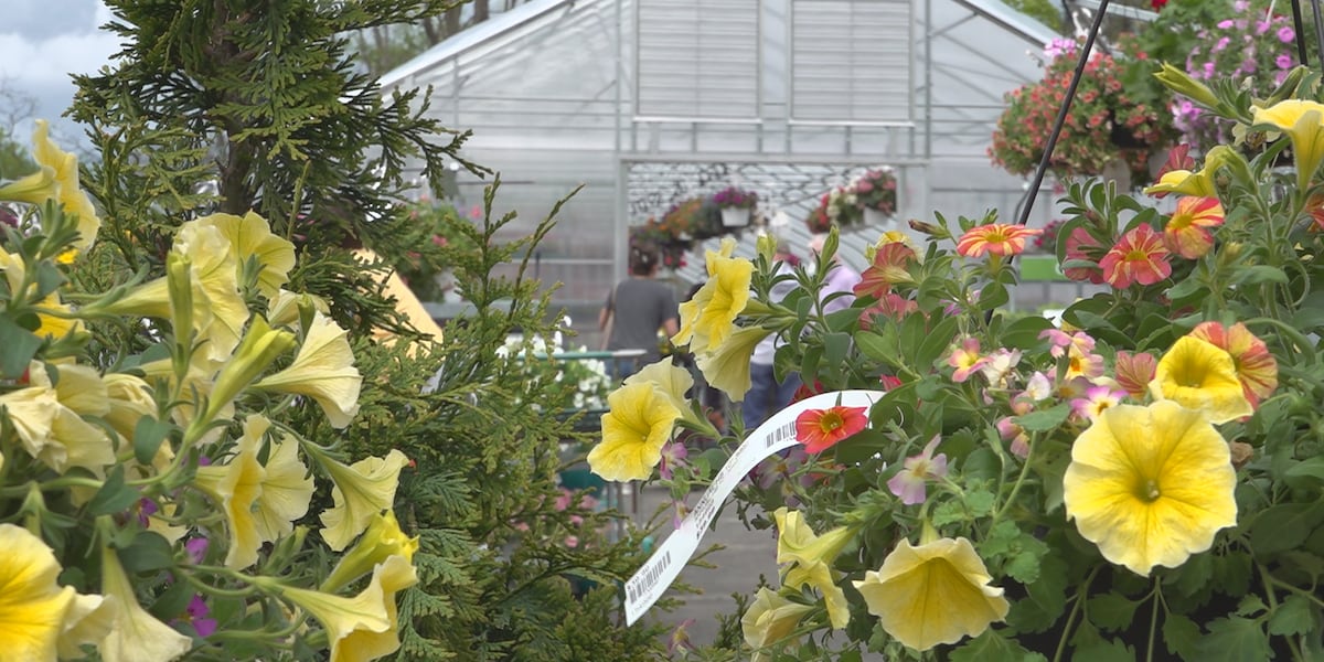 Vt.-based Gardener’s Supply files for bankruptcy Vt.-based Gardener’s Supply files for bankruptcy