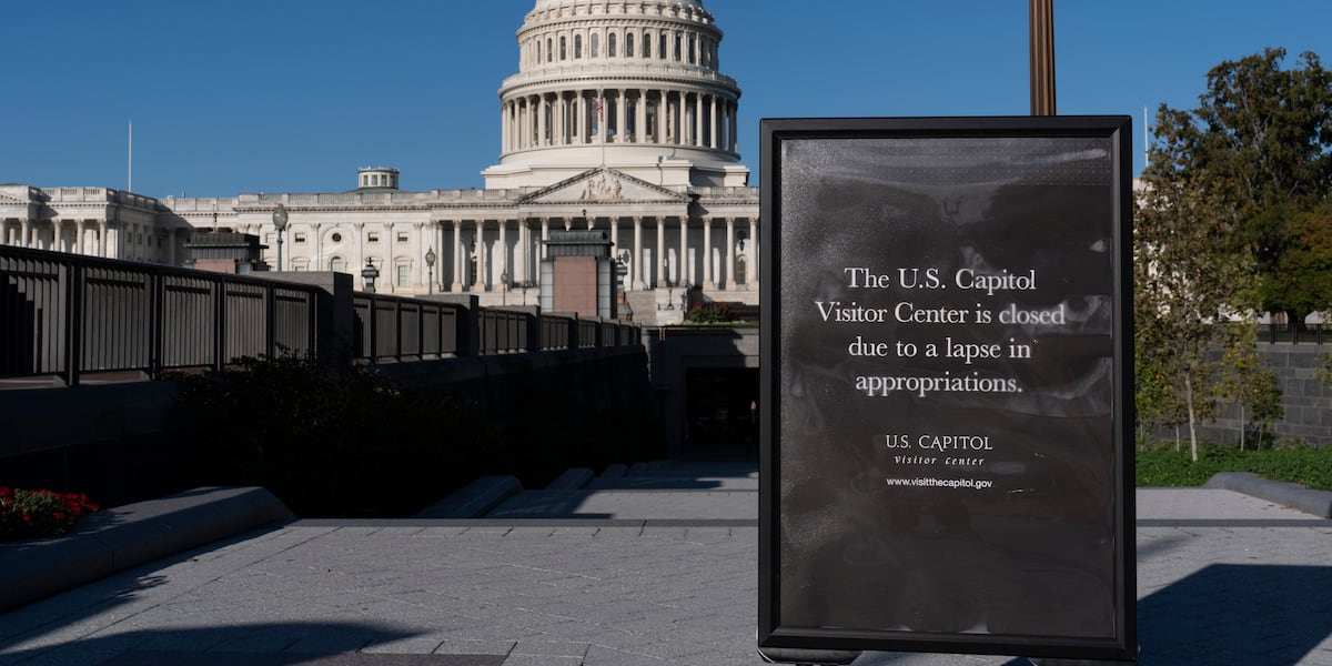 Balint says Democrats won’t back down on health care subsidies amid shutdown