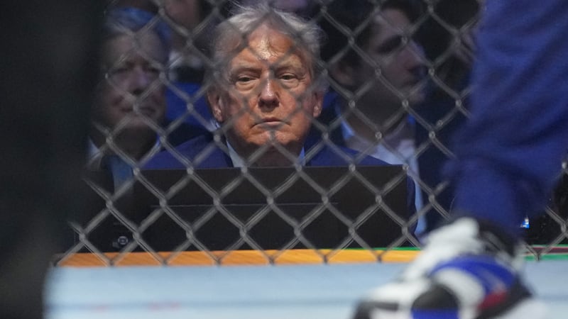 President Donald Trump attends UFC Freedom 250 on the South Lawn of the White House, Sunday,...