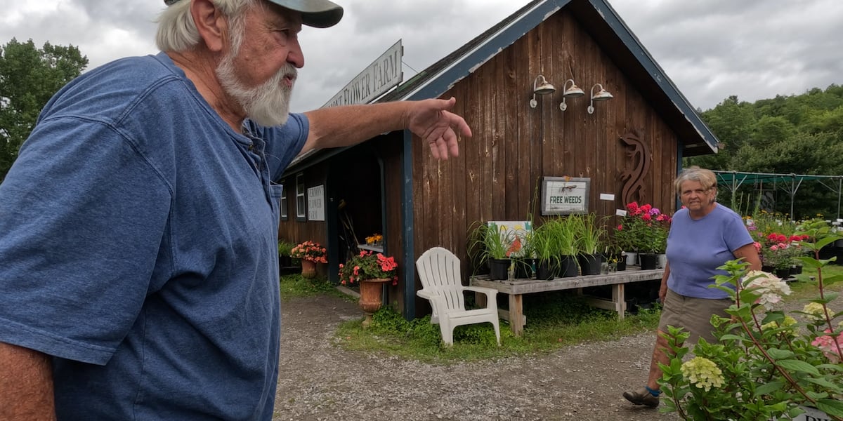 Marshfield flower farm draws visitors, pollinators along Route 2