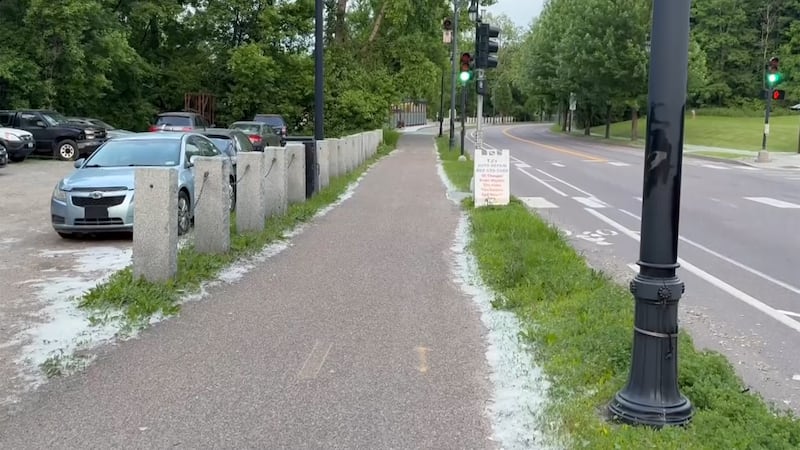 If you have seen clumps of cottonwood pollen blanketing Vermont streets and creating what...