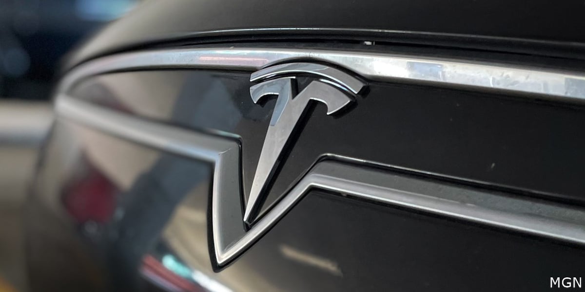 Tesla's Autopilot system is in the spotlight at trial over a student killed while stargazing