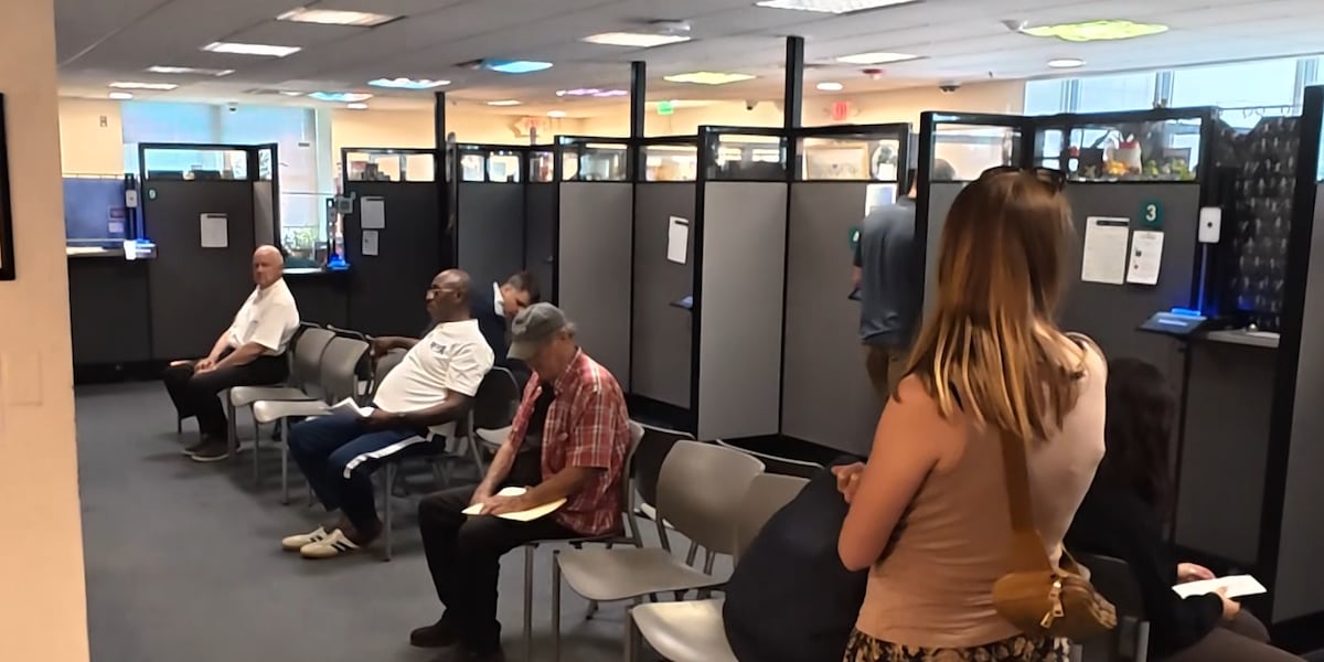 Vermont purges 900 names from voter rolls mistakenly registered through DMV