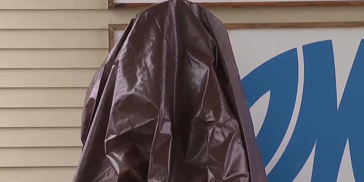 Statue bringing Castleton school mascot to life to be unveiled