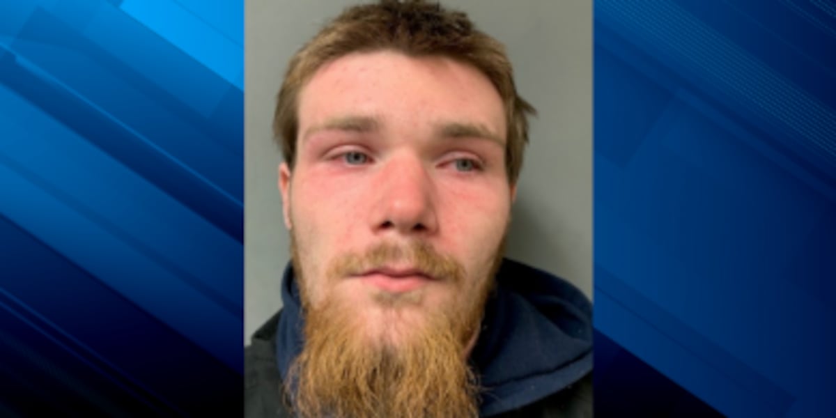 Brandon Sandmann Brandon man charged with assaulting trooper