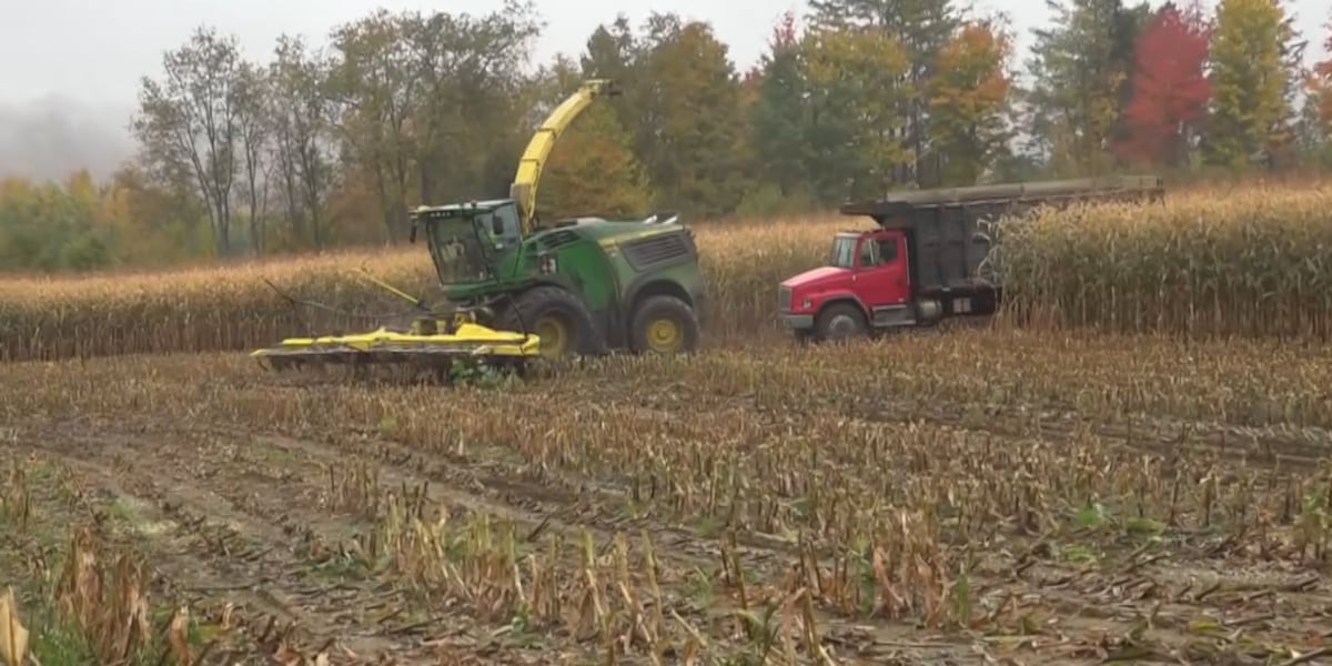 Vermont ag officials seek drought disaster designation for entire state
