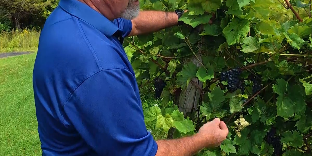 Vermont businesses scramble to adjust to latest wrinkle in Trump's trade war on Canada