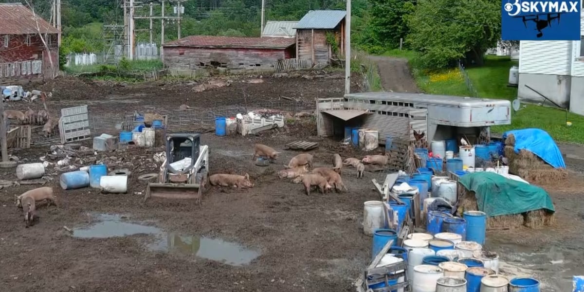Will Vermont court ruling settle question for neighbors of stinky farm?