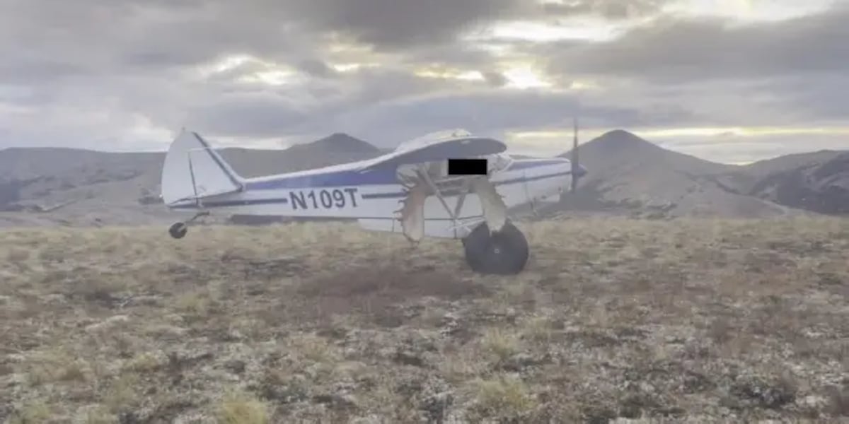 Plane was overloaded with moose meat and antlers during crash that killed lawmaker’s husband, NTSB says