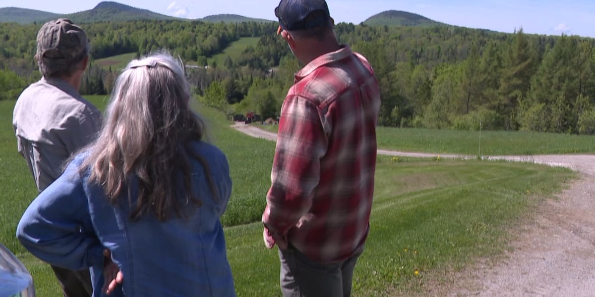 Conflict continues over approved Westmore cell tower
